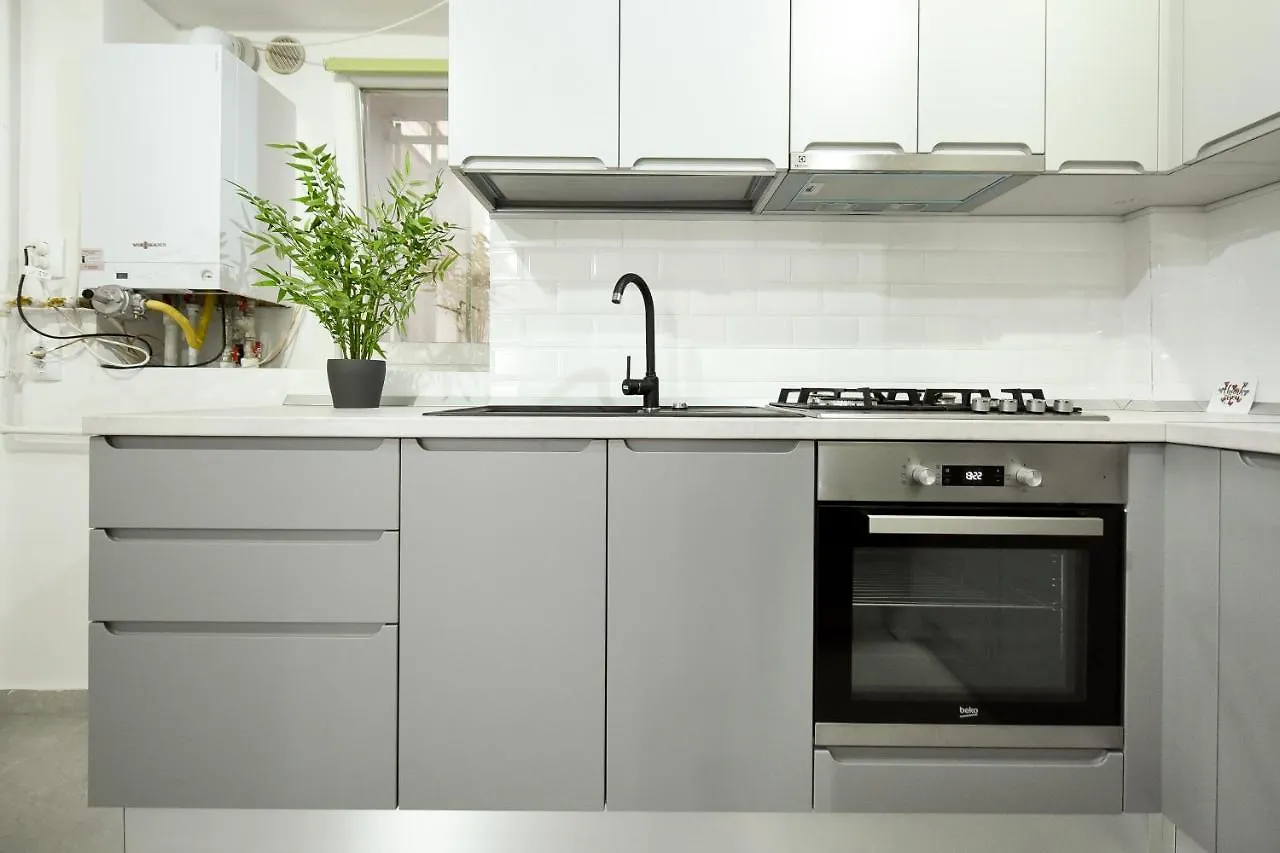 Simple Yet Stylish. Piata Revolutiei Apartment 布加勒斯特